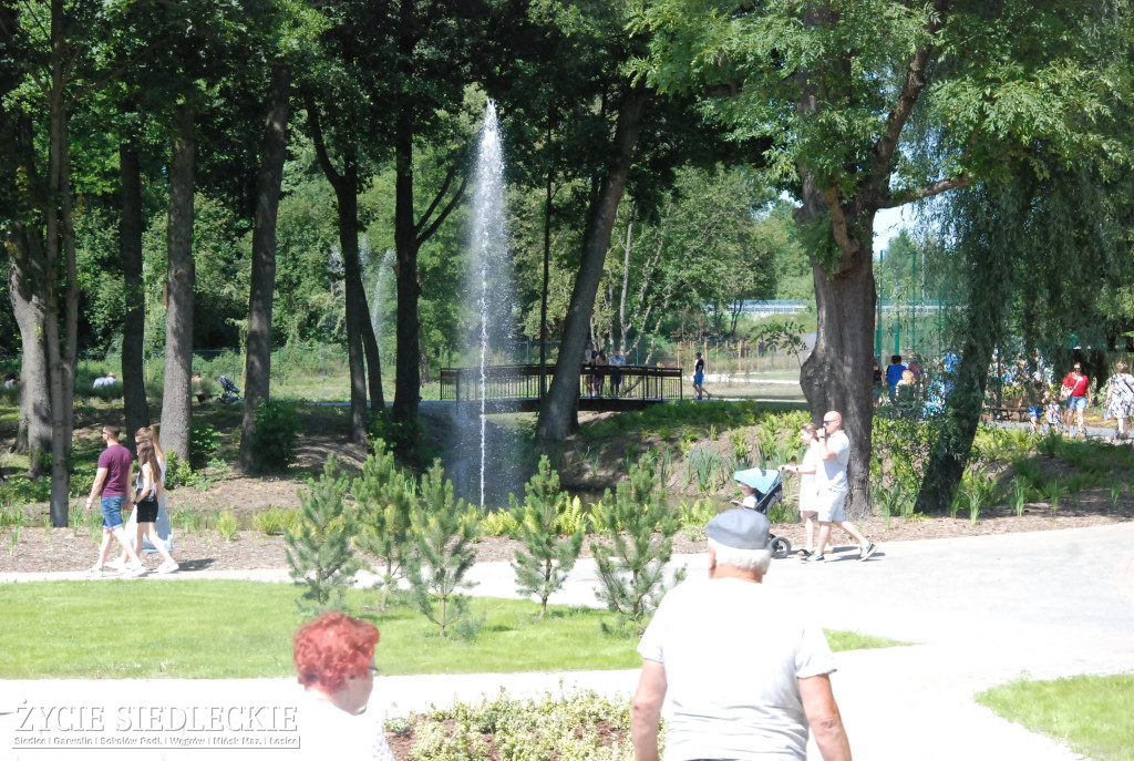 Park w Węgrowie