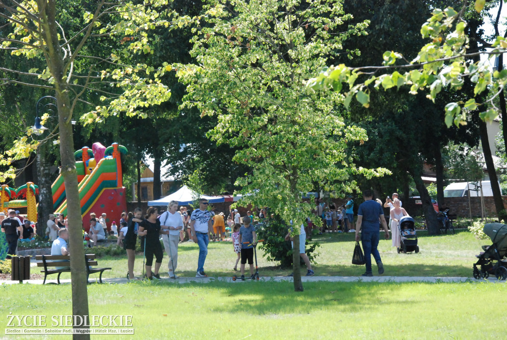 Park w Węgrowie