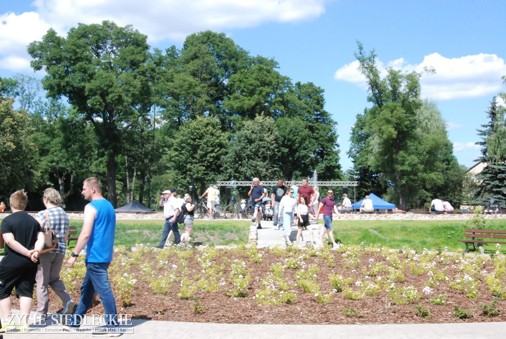 Park w Węgrowie