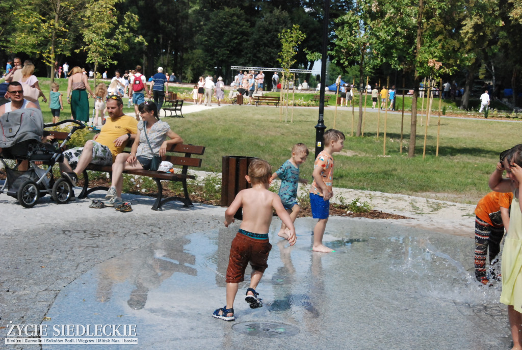 Park w Węgrowie