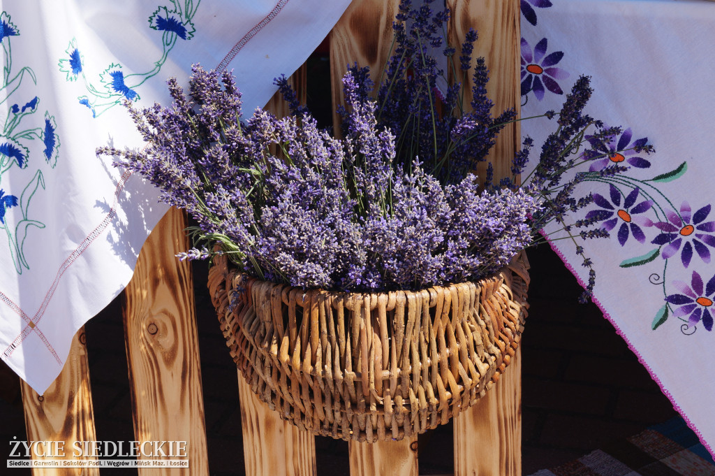 XV Festiwal Kuchni Regionalnej 
