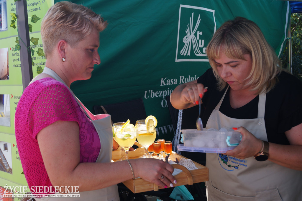 XV Festiwal Kuchni Regionalnej 