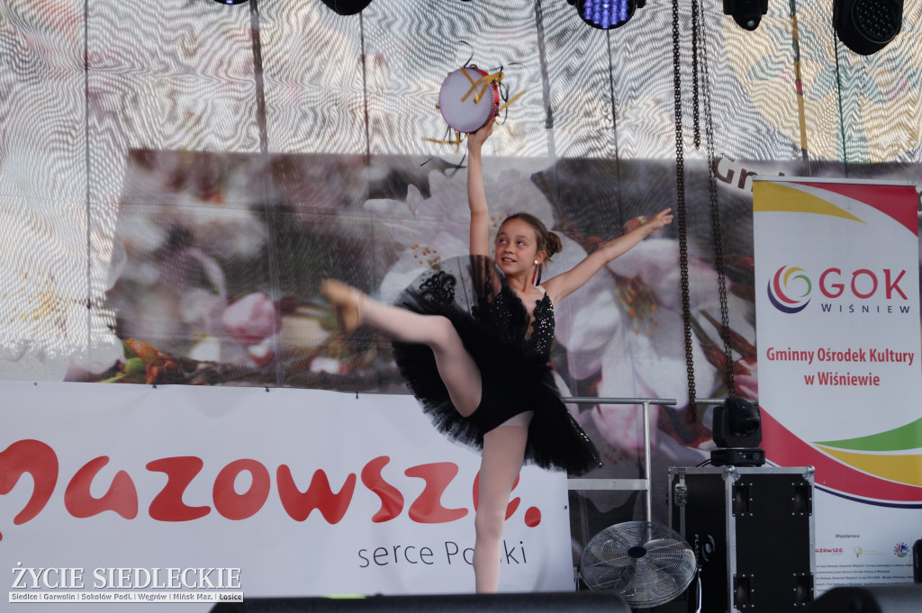 XV Festiwal Kuchni Regionalnej 