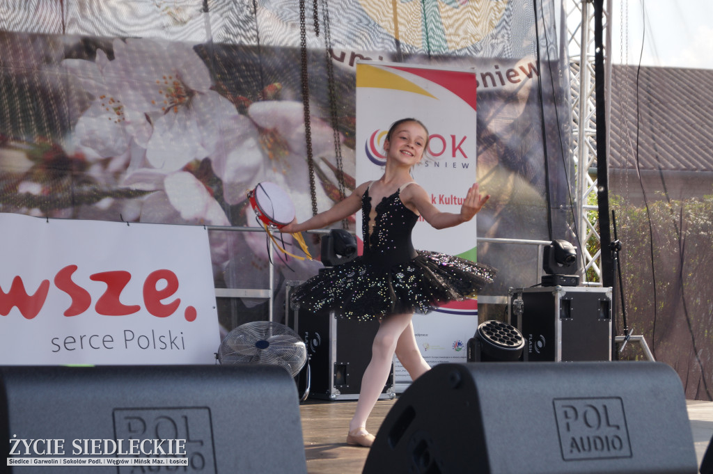 XV Festiwal Kuchni Regionalnej 