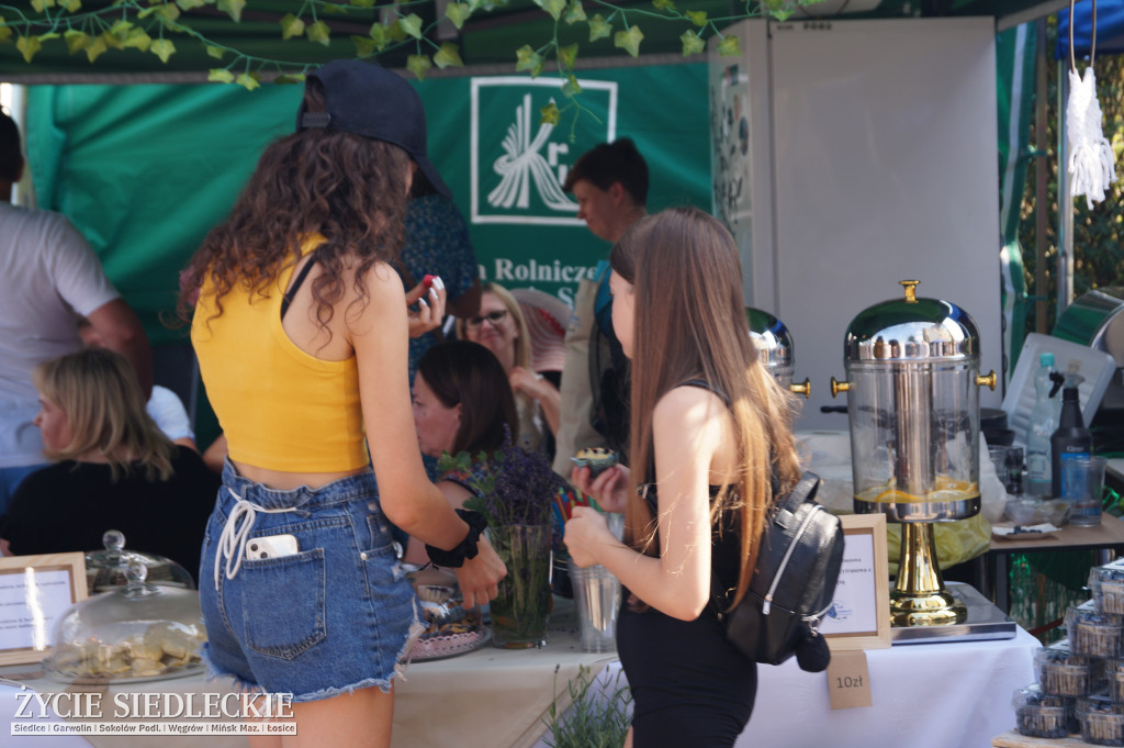 XV Festiwal Kuchni Regionalnej 