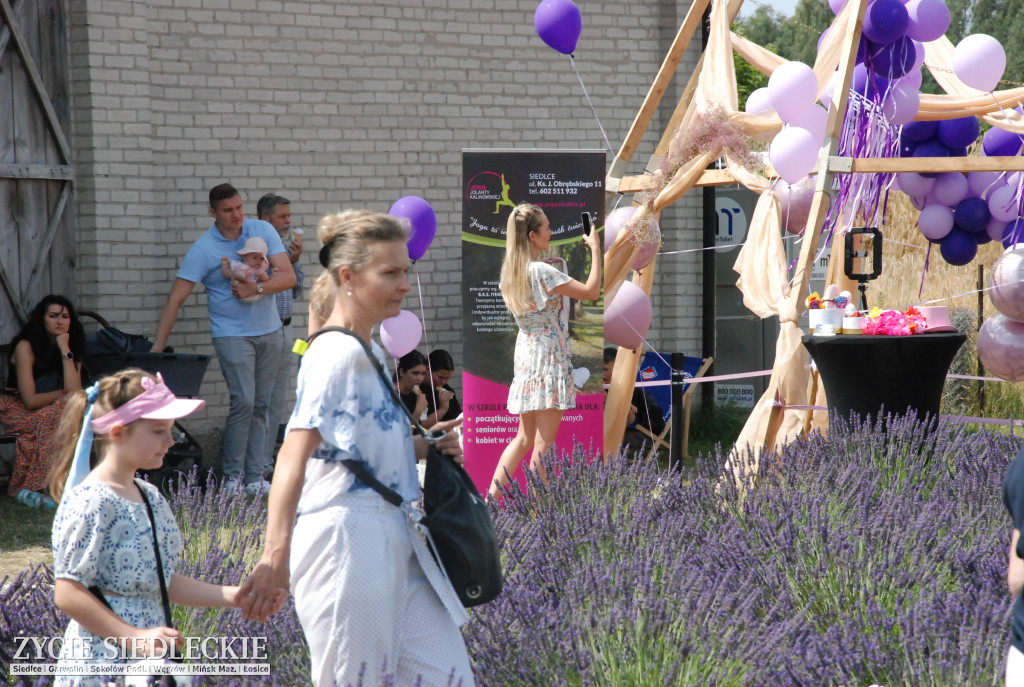 II Lawendowy Piknik w Purzecu