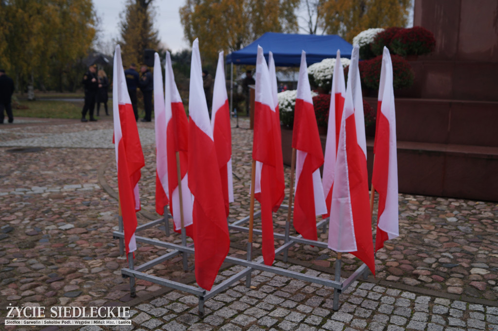 Narodowe Święto Niepodległości w Siedlcach