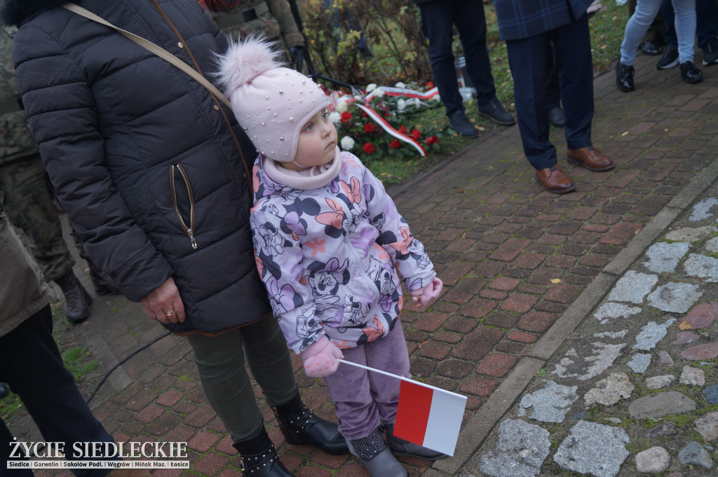 Narodowe Święto Niepodległości w Siedlcach