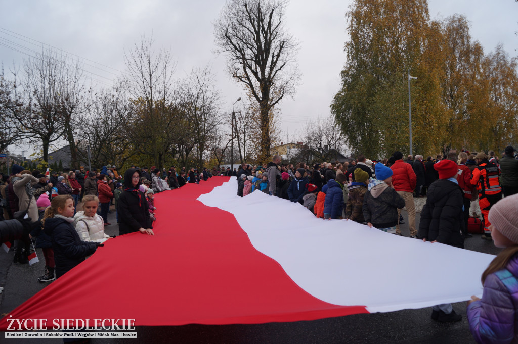 Narodowe Święto Niepodległości w Siedlcach