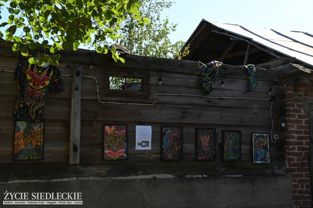 DobrzaNOW Festiwal