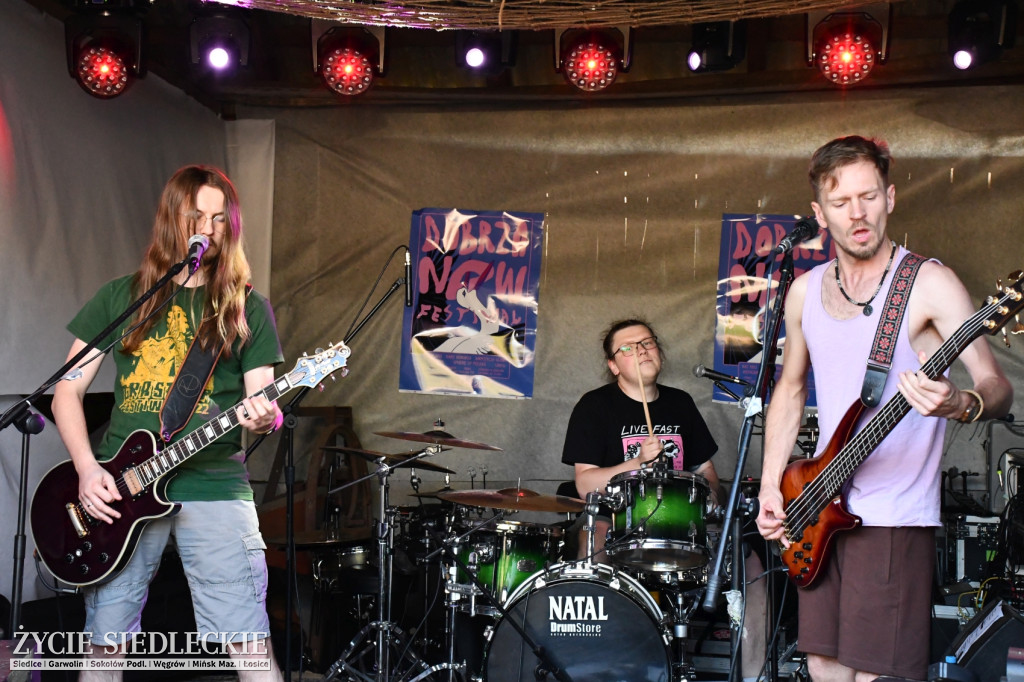 DobrzaNOW Festiwal