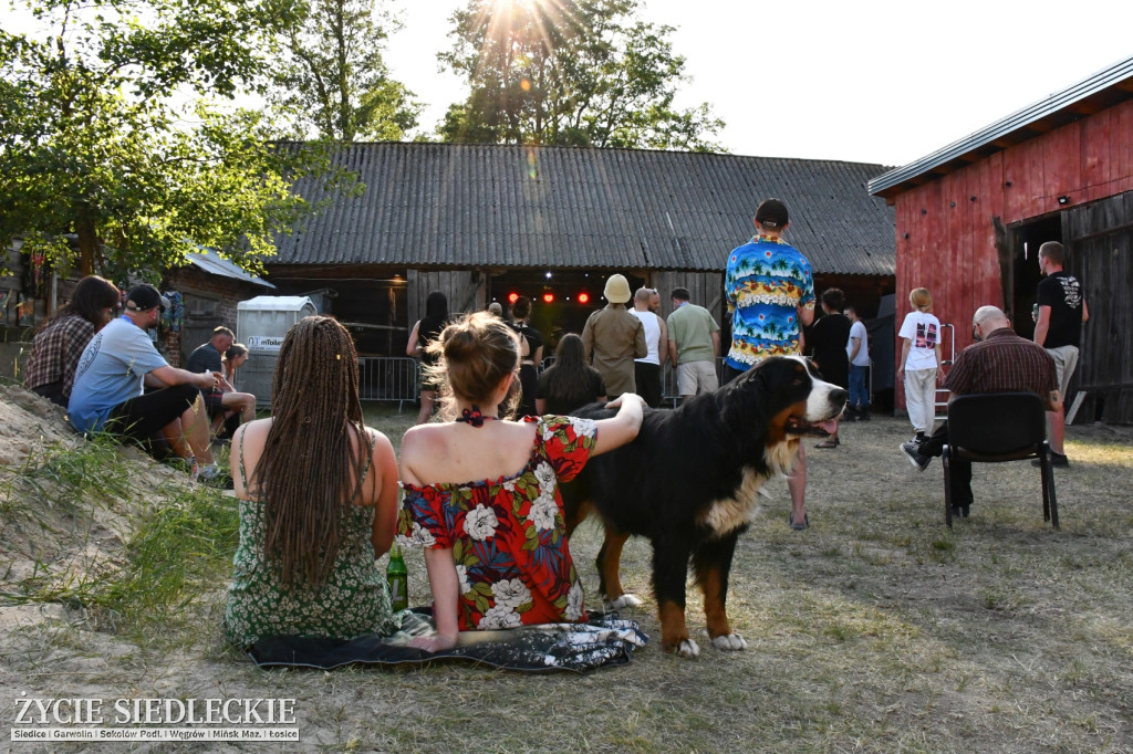 DobrzaNOW Festiwal