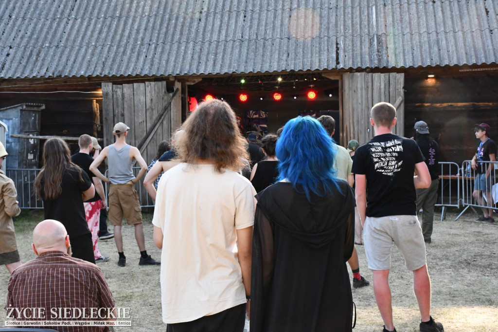 DobrzaNOW Festiwal