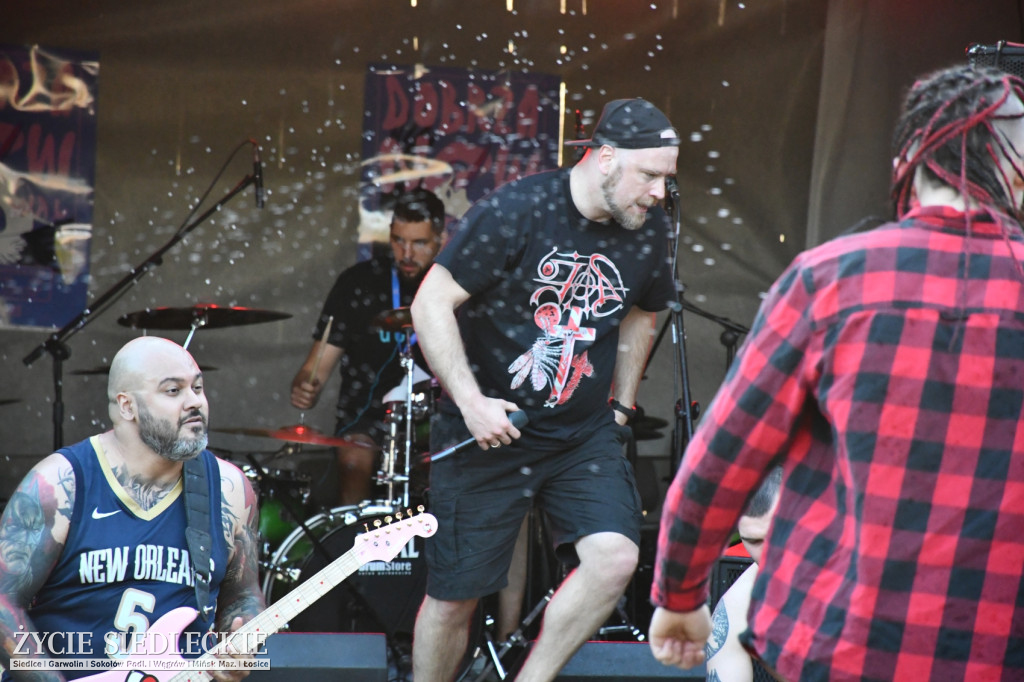 DobrzaNOW Festiwal