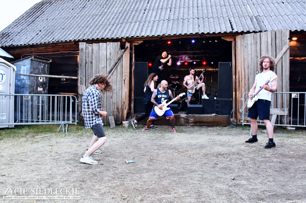 DobrzaNOW Festiwal