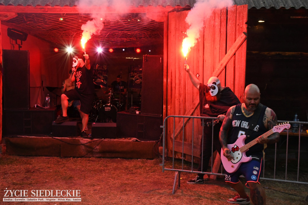DobrzaNOW Festiwal