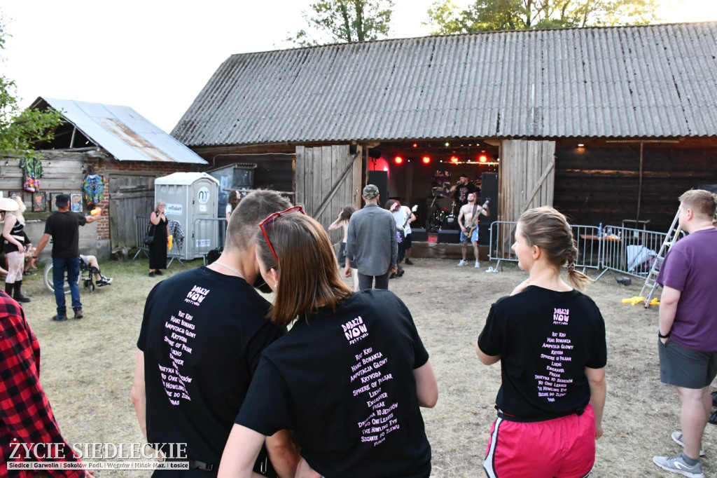 DobrzaNOW Festiwal