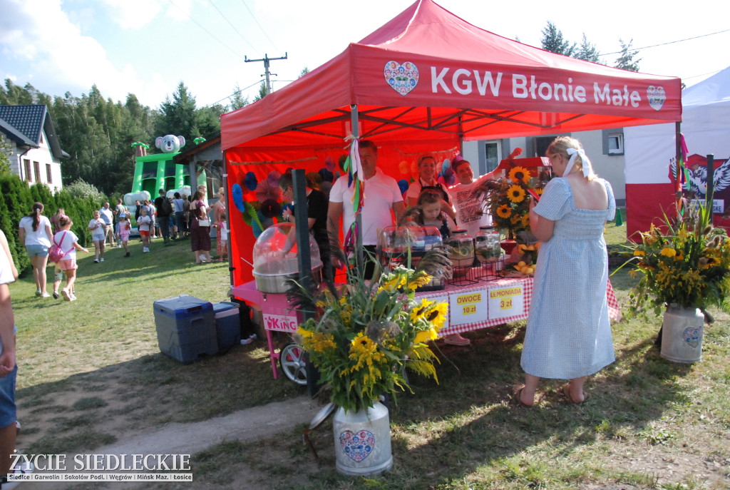 80. rocznica Bitwy pod Sikorami