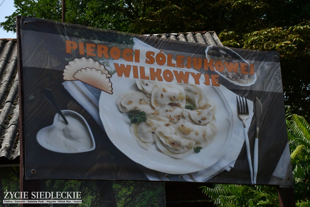 Jarmark Folkowy w Wilkowyjach-Jeruzal/MROZY