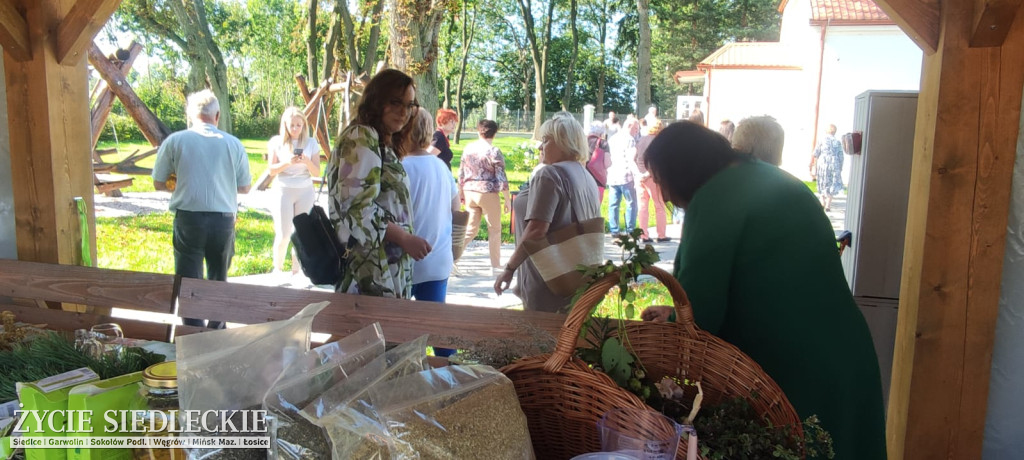 Seniorzy w gotowości