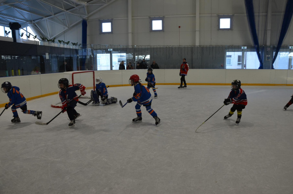 SWH Siedlce w Hybrydowej Lidze Hokeja