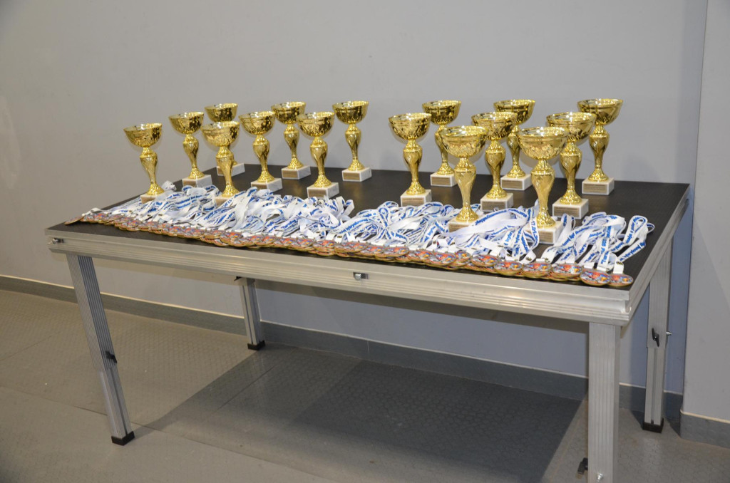 SWH Siedlce w Hybrydowej Lidze Hokeja