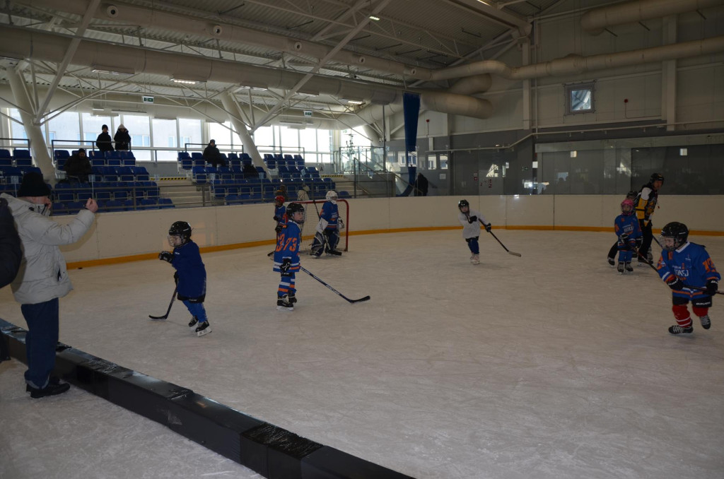 SWH Siedlce w Hybrydowej Lidze Hokeja