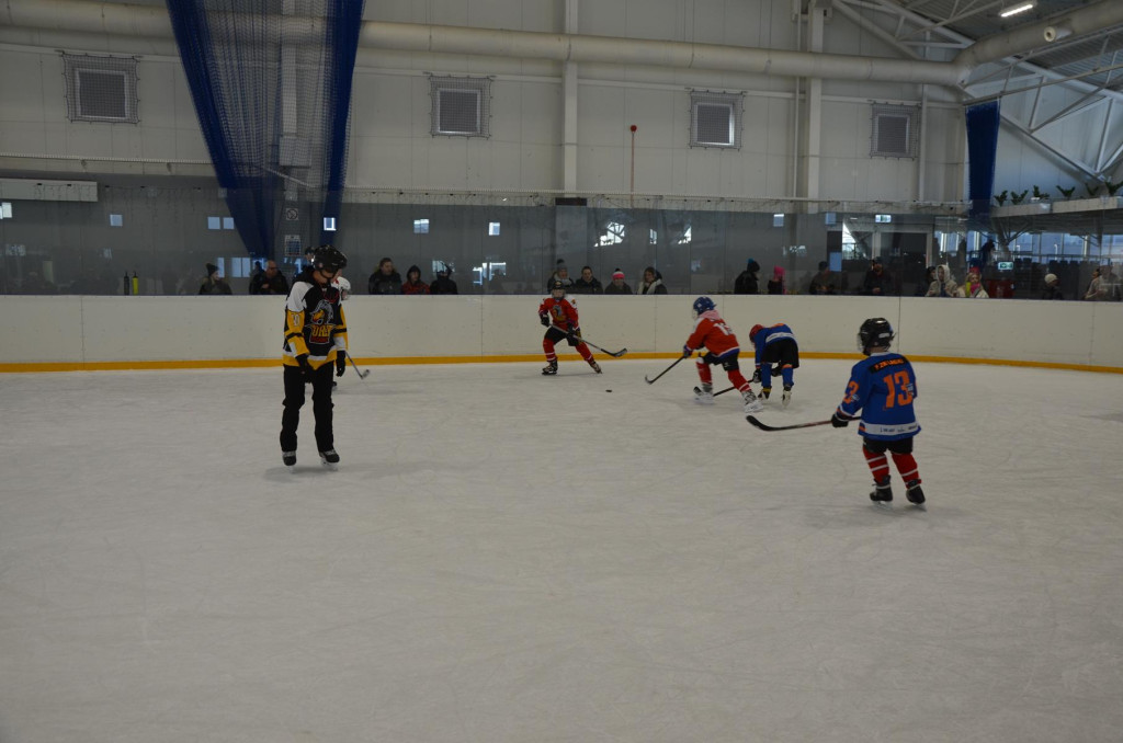 SWH Siedlce w Hybrydowej Lidze Hokeja