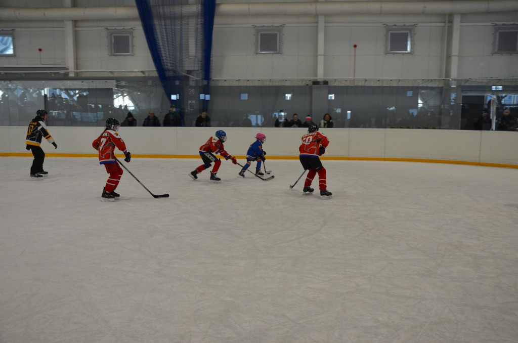 SWH Siedlce w Hybrydowej Lidze Hokeja