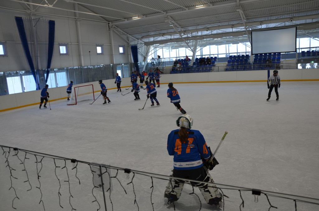 SWH Siedlce w Hybrydowej Lidze Hokeja