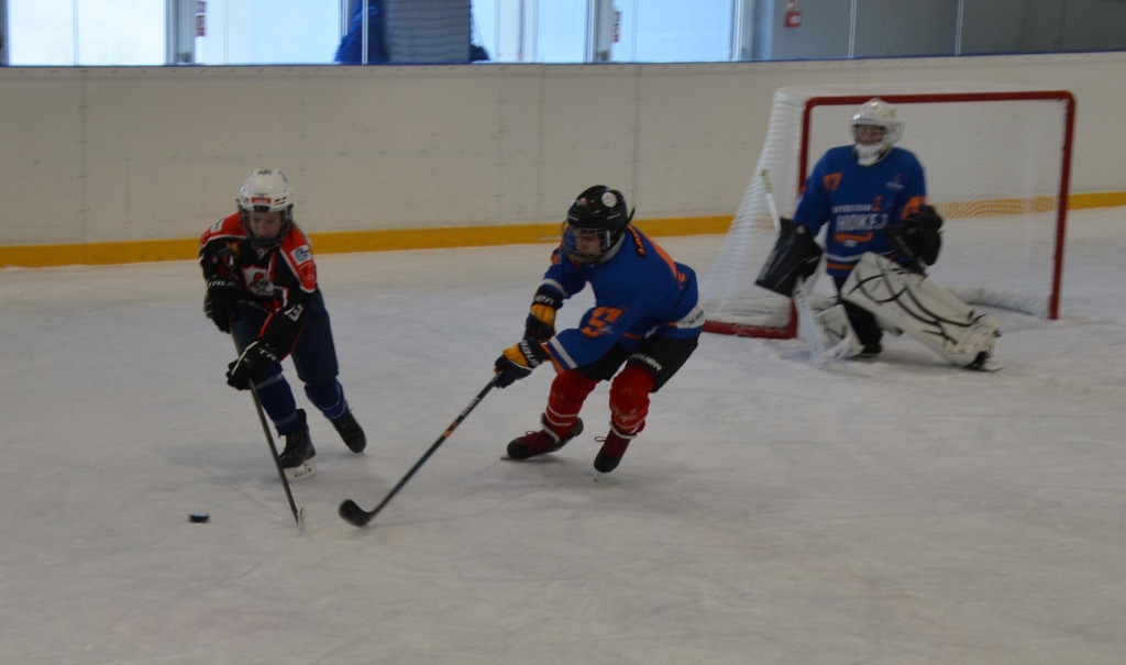 SWH Siedlce w Hybrydowej Lidze Hokeja