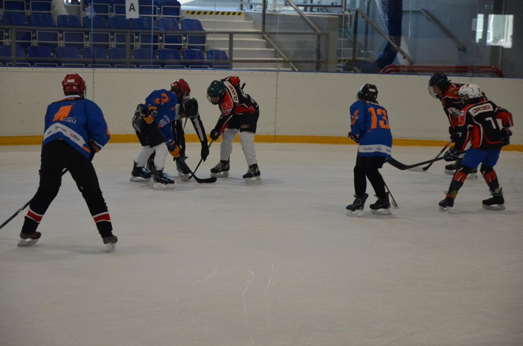 SWH Siedlce w Hybrydowej Lidze Hokeja