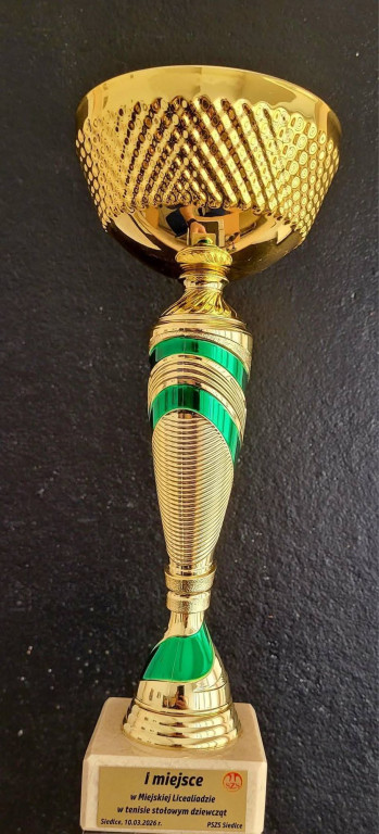 Budowlanka tenis stołowy