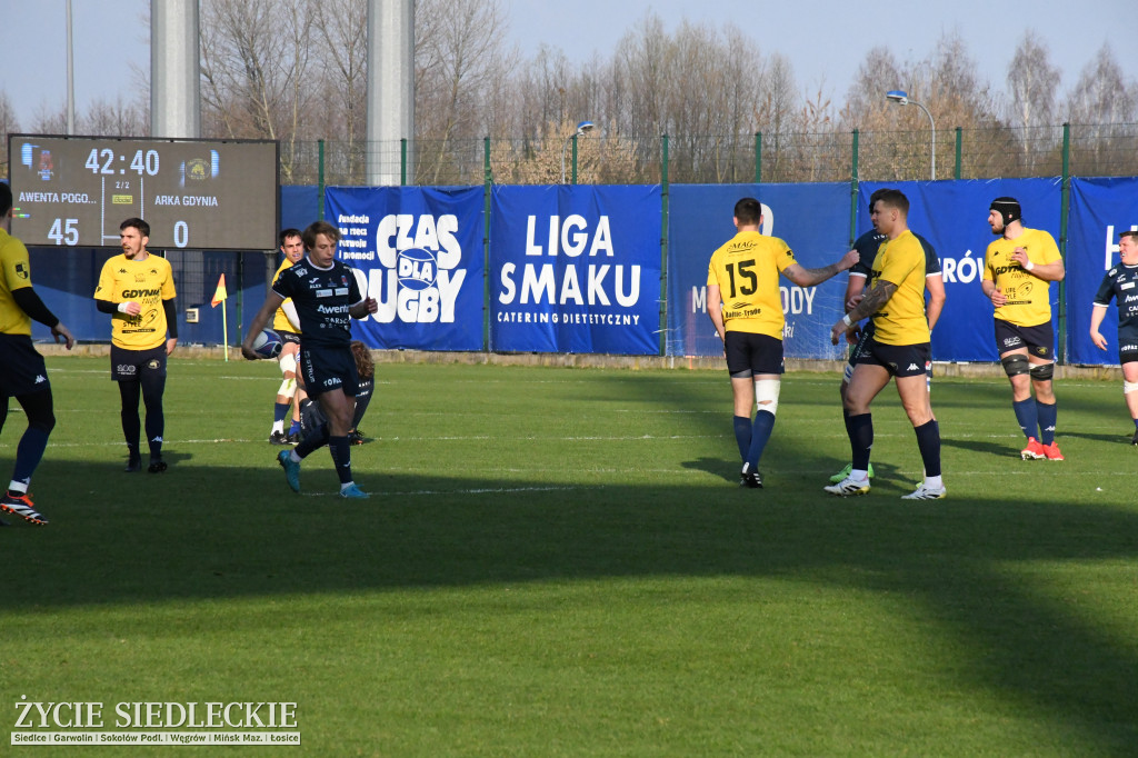 Mistrzowska forma. Pogoń rozgromiła Arkę