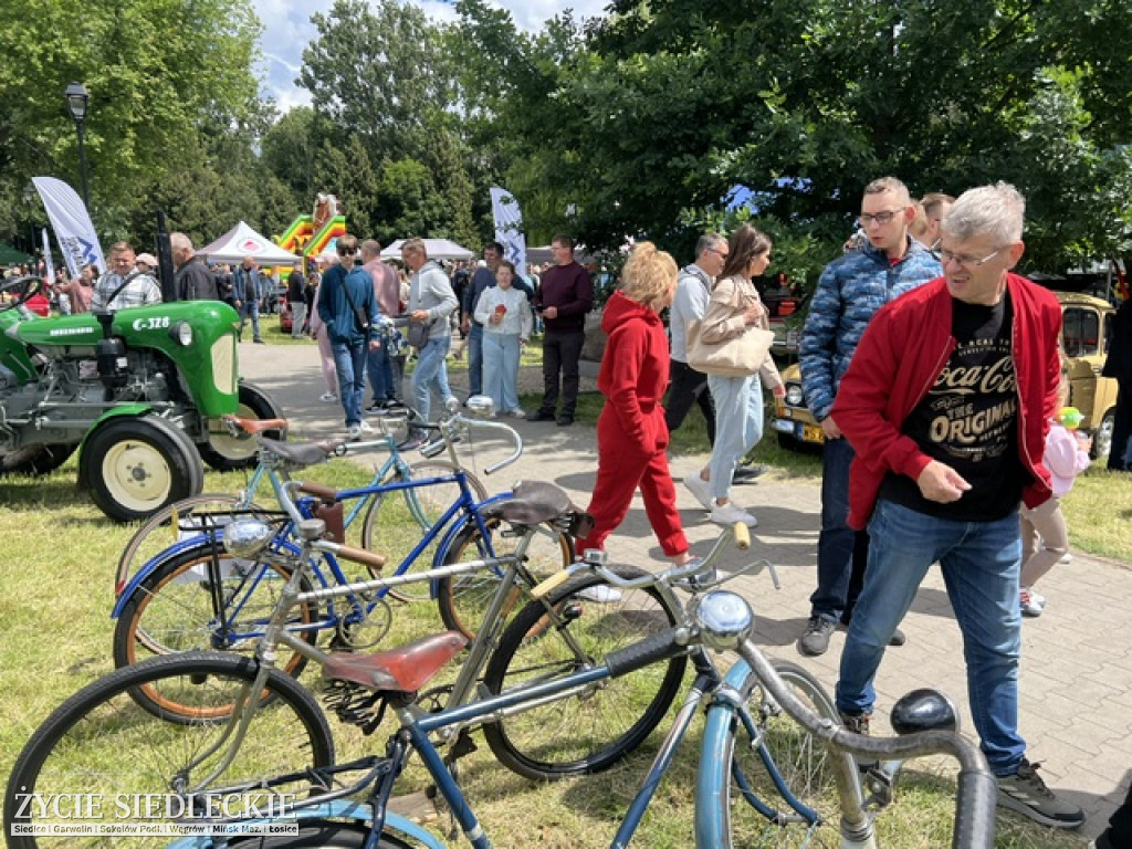 MROWISKO 2026 Siedlce