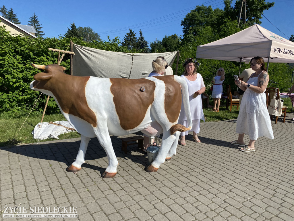 Wianki Krynica 2026