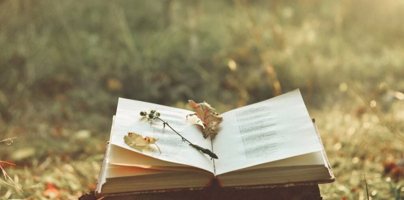 Internetowy Konkurs Jednego Wiersza