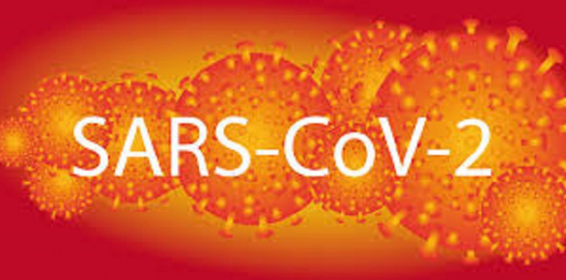 Trzy nowe przypadki zakażenia w powiecie węgrowskim!