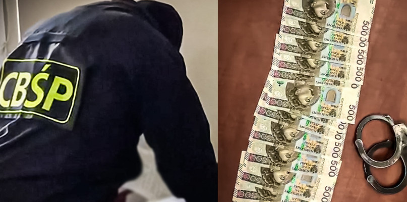 Boss gangu siedleckiego zatrzymany w galerii