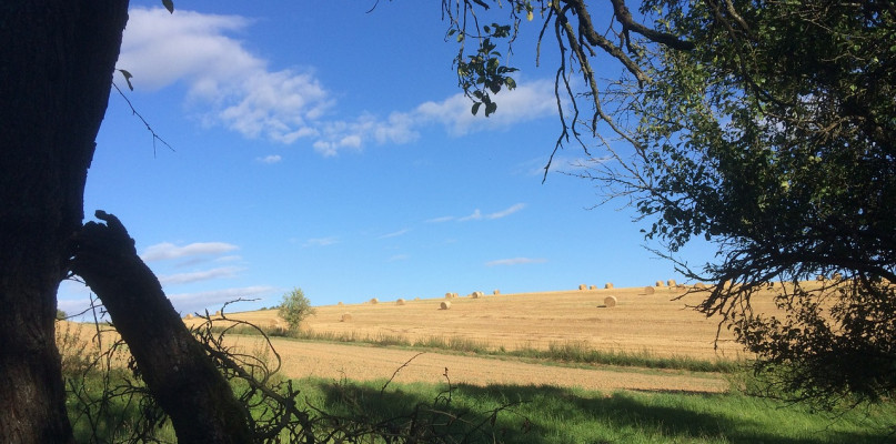 Jak działkę rolną przekształcić na budowlaną?