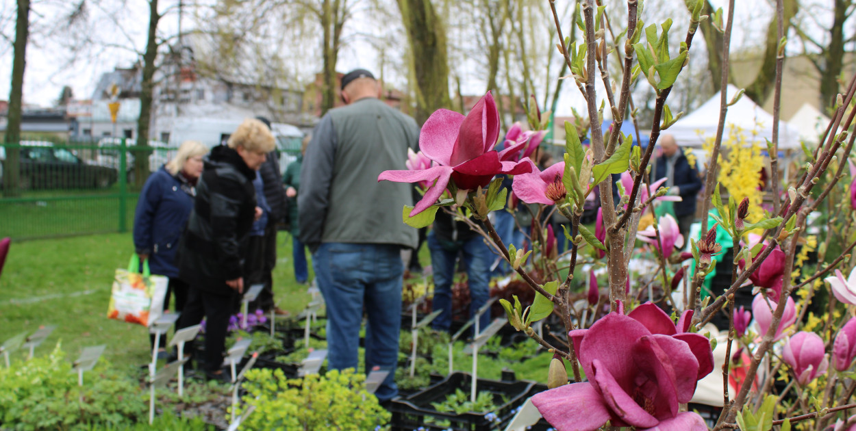 Wiosna na polu i w ogrodzie - siedleckie targi wiosenne