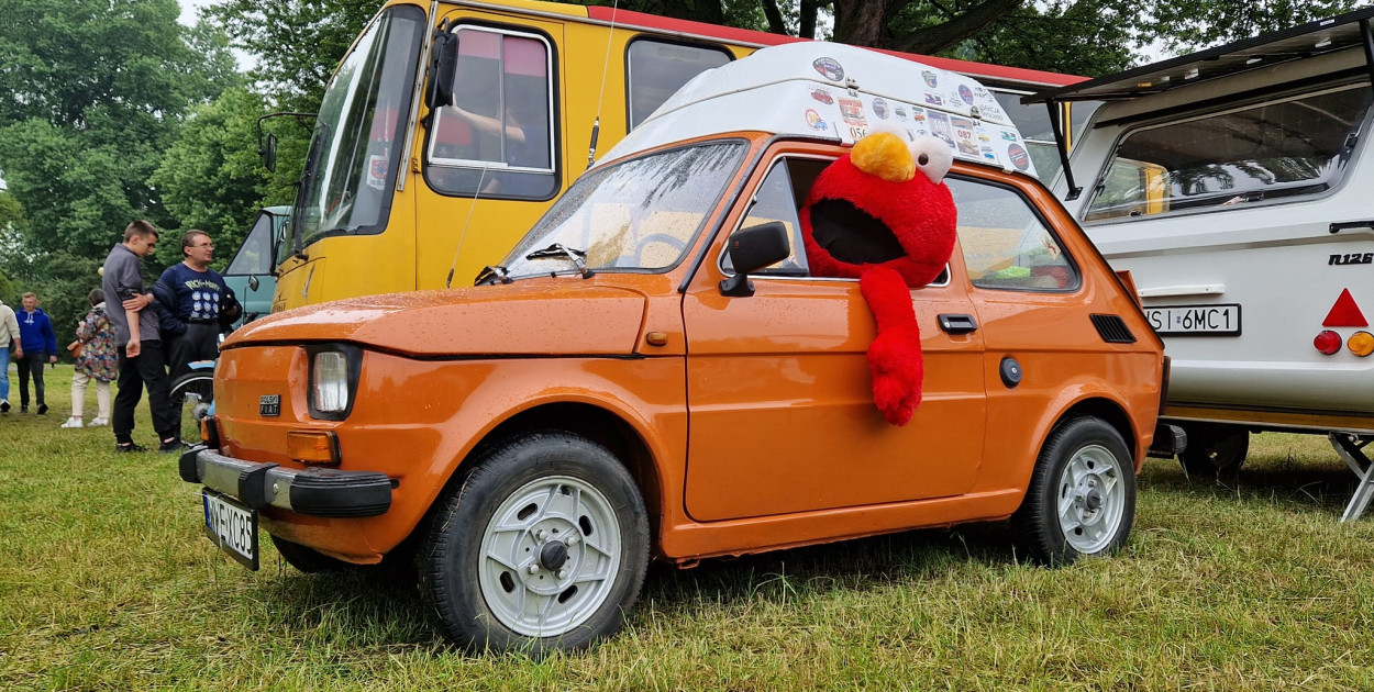 Deszcz nie przegonił dzielnych mrówek, czyli Mrowisko 2023