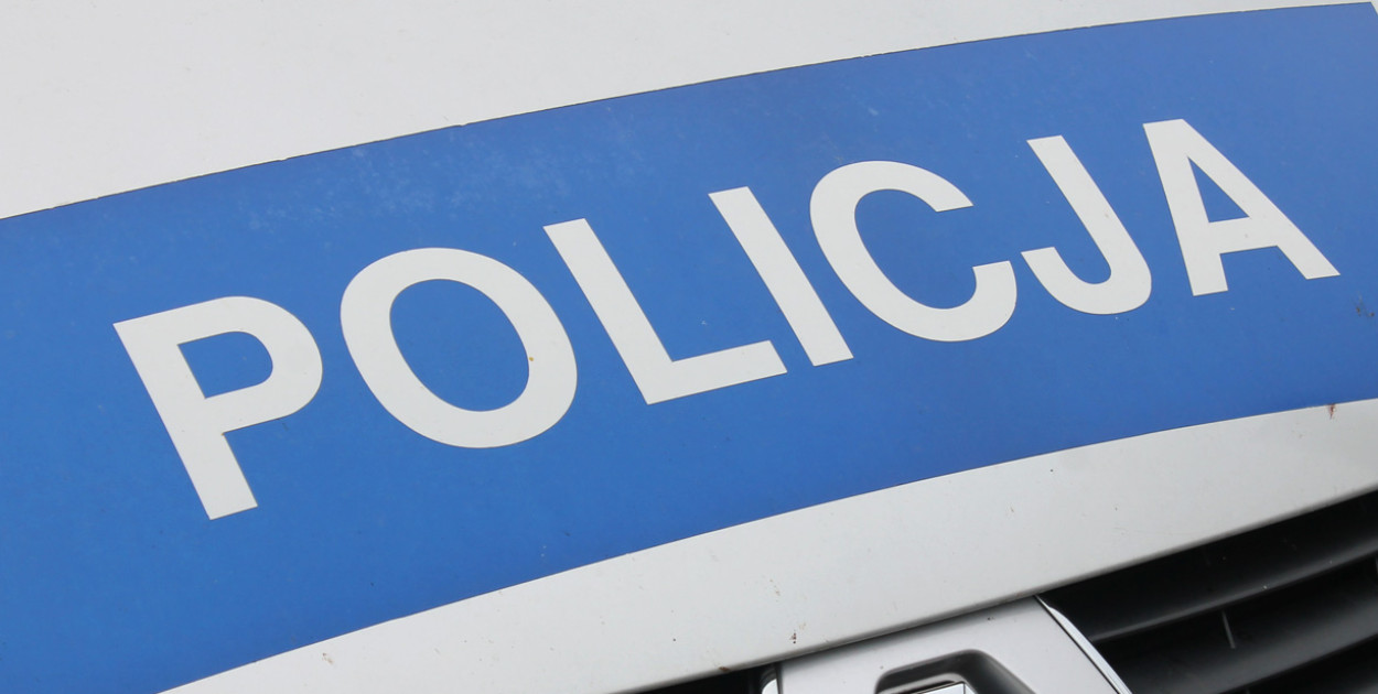 Nieoczekiwanie wybiegła na jezdnię. Tego nie mogła przeżyć