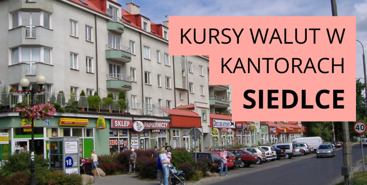 Kurs euro i dolara w kantorach w Siedlcach. Czy teraz jest dobry moment na wymianę