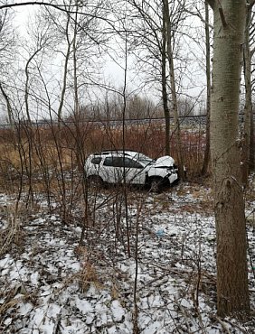 Samochód wpadł w poślizg, zatrzymał się na drzewie-32174
