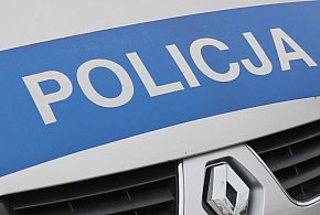 Zderzenie z sarną -39949
