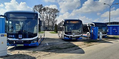 Siedlce: Kursowanie autobusów w weekend majowy -44654