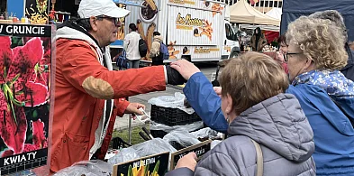 Kolorowo, gwarnie i lokalnie. Siedlce w rytmie jarmarku [FOTO]-50311