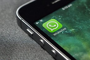 WhatsApp się zmienia. Czy aplikacja będzie płatna?-50812