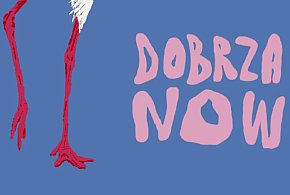 DobrzaNOW Festiwal 2025 już wkrótce!-50831